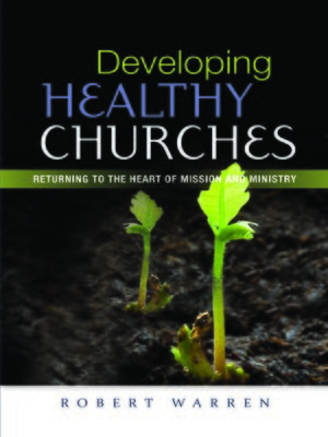 cover image of Developing Healthy Churches